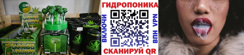 купить закладку  Струнино  Canna-Cookies конопля 