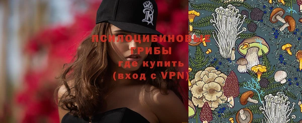 стафф Абдулино