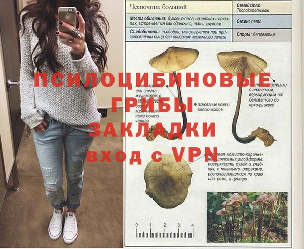 PSILOCYBIN Нефтекумск